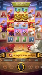 Rooster Rumble PG SLOT สมัคร slotxo ไม่มีขั้นต่ำ