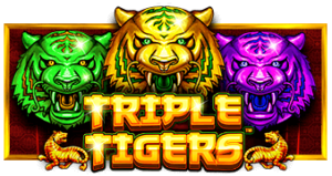 Triple Tigers Pragmatic Play สล็อต XO เว็บตรง