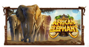 African Elephant Pragmatic Play ทางเข้าเล่น slotxo