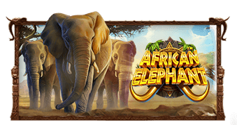 African Elephant Pragmatic Play ทางเข้าเล่น slotxo