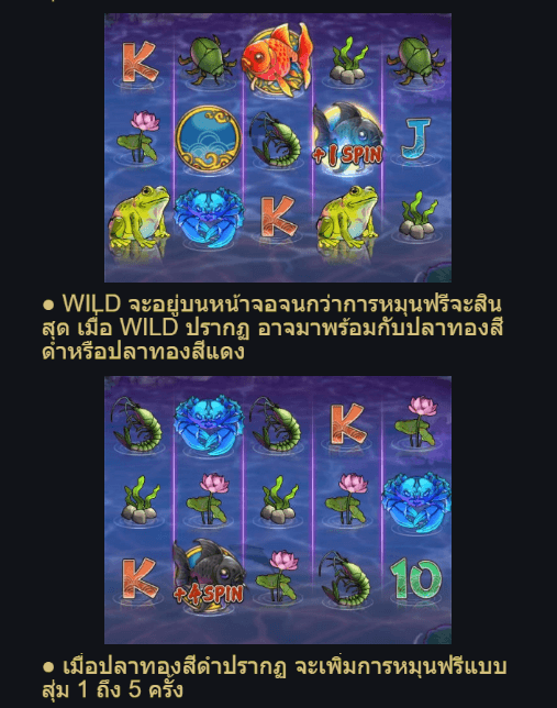 Kingyo Riches Advantplay เว็บ SLOTXO ใหม่