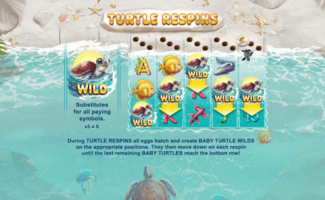 Turtle Paradise slot RED TIGER slotxo 24 hr