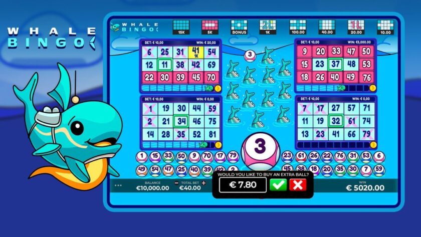 Whale Bingo Caleta Gaming สมัคร SLOT XO