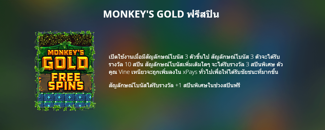 Monkey's Gold xPaysNolimit City ดาวน์โหลด xo slot auto