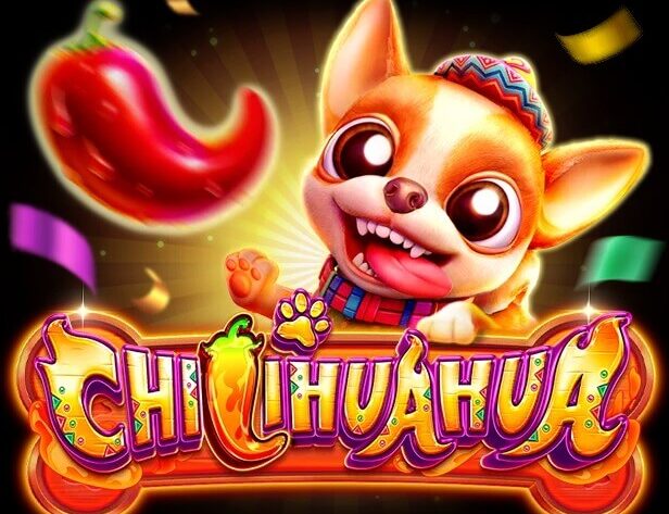 CHILIHUAHUA Fa Chai เว็บ SLOTXO ใหม่