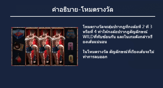 Muay Thai Dragoon Soft Gaming xo สล็อต