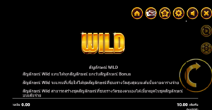 Wildfire Wins สล็อตค่าย Microgaming SLOT SLOTXO (2)