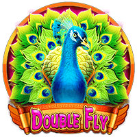 Double Fly CQ9 เว็บ SLOTXO ใหม่