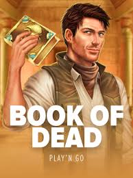 Book of Dead Slot Evaluation - 96% RTP, Free Spins & Perks